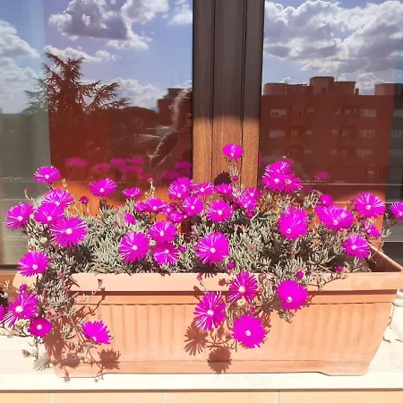 L'orchidea Di Ale Couette-café Tivoli Terme
