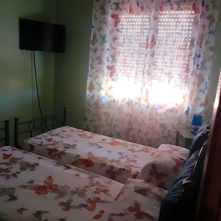 Bed & Breakfast L'Orchidea Di Ale 3*