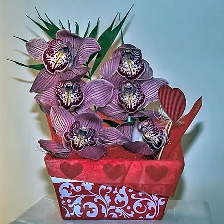 L'orchidea Di Ale 3* Tivoli Terme